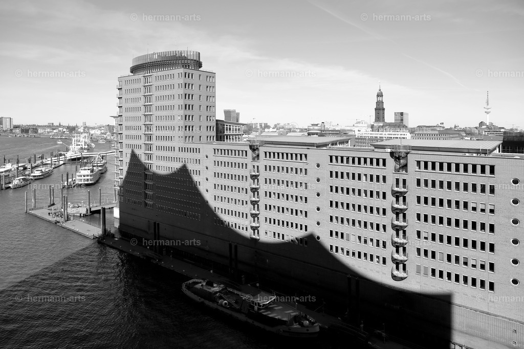 Hamurg_Arts-012 | Photo Foto Kunst Art schwarzweiss Bilder Rheine Münster Berlin Blumen 