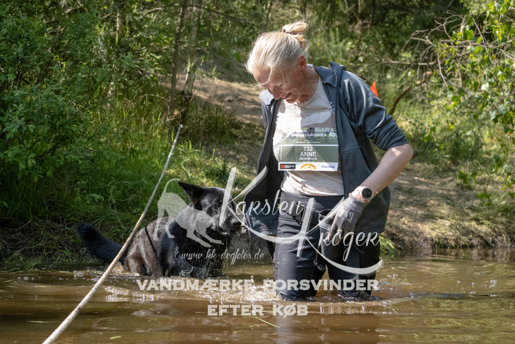1523DKK991221 | kk-dogfotos