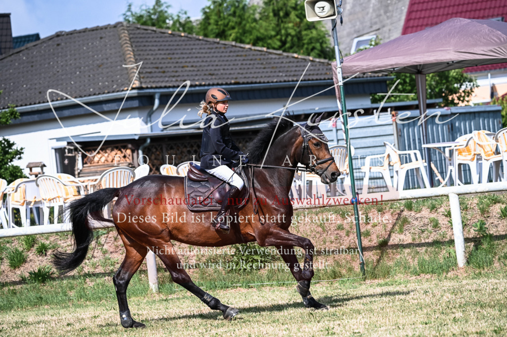 DSC_7973 | Pferde- und Turnierfotografie in Westsachsen. Pferdeportraits, Auftragszeichnungen und intuitive Kunst.