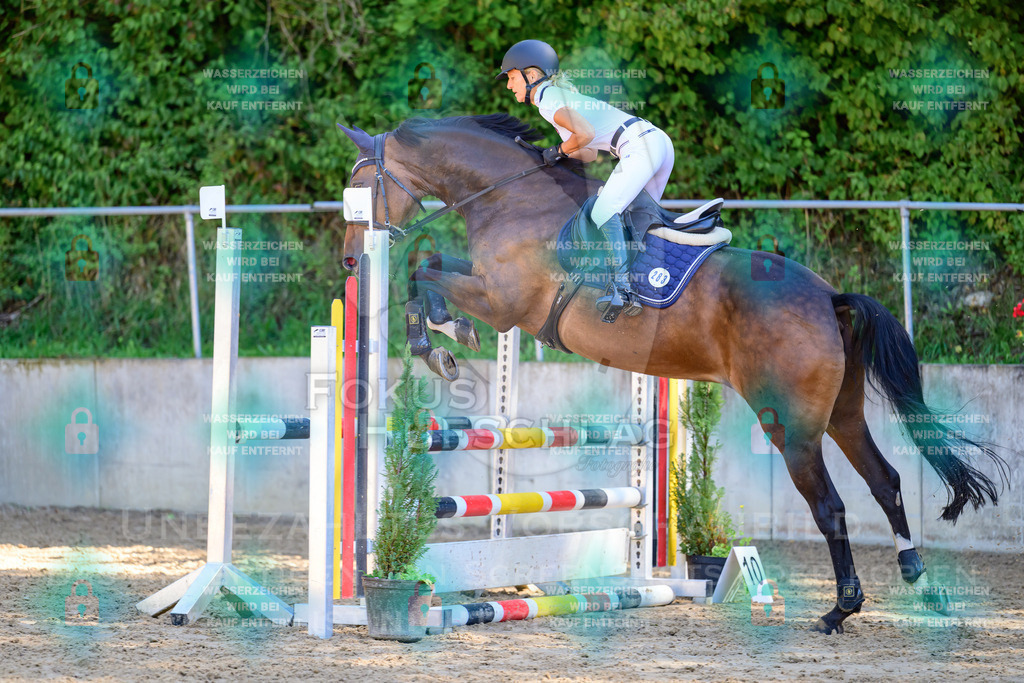 29082026-Giesenbach-Prfg10-0445 | Fokus Hufschlag Fotografie - Realisiert mit Pictrs.com