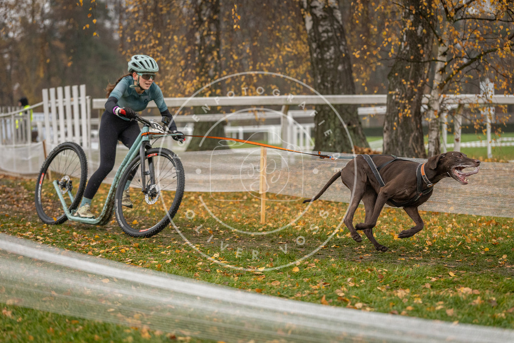 CaniXpix_DV3A7988 | Hundefotografie, Tierfotograf, Pfotenfotografie, Fotoshooting Hund, Hunde Portrait, Hundesport, Hundeportraits, Heideshooting, Hunde, Sportfotograf, Hundefotograf, Turnierhundsport, THS,  - Realisiert mit Pictrs.com