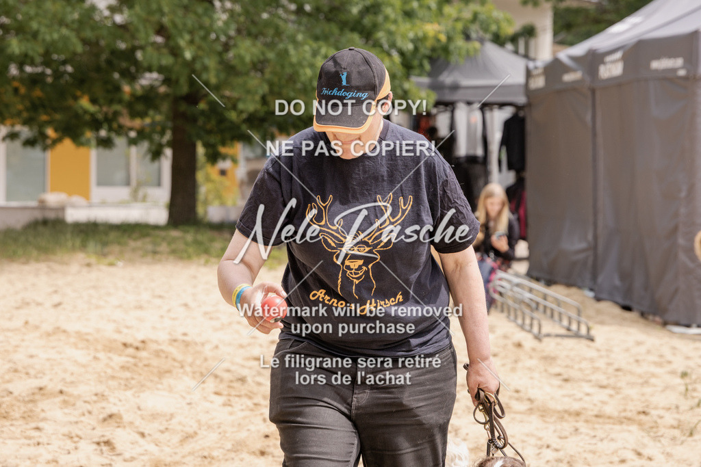 nelerasche_BuHu2026_MM_37 | nelerasche