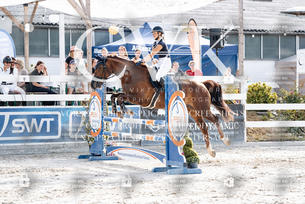 CK906067 | Turnierfotografie Pferdefotografie Trier Rheinland-Pfalz Pferdesport Reitsport Tierfotografie Sportfotografie Pferdevideo Pferdevideografie Equestrianvideography equestrianphotography  - Realisiert mit Pictrs.com