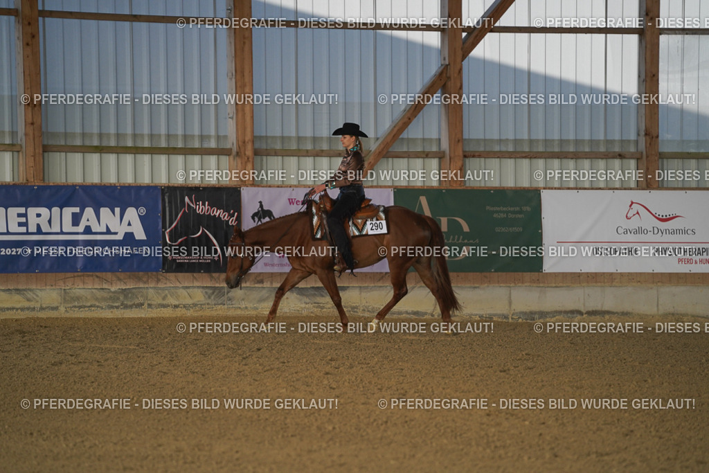 DSC08693 | Pferdegrafie