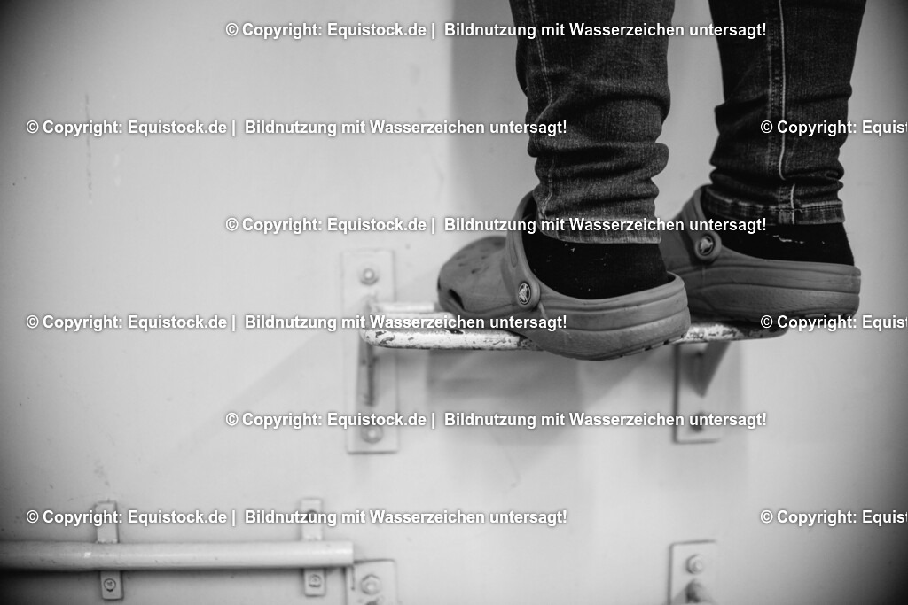 20160309_Sehnenschnitt_OP__0060 | equistock