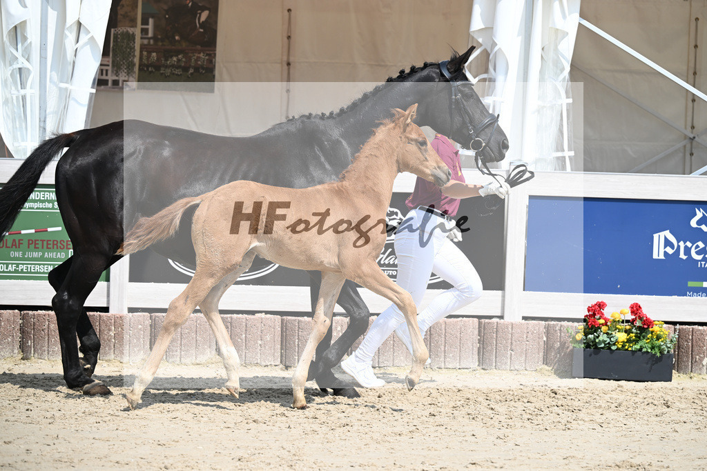 Viva Vegas x Top Gear_HF_Leder_12250471 | hf-fotografie - Realisiert mit Pictrs.com