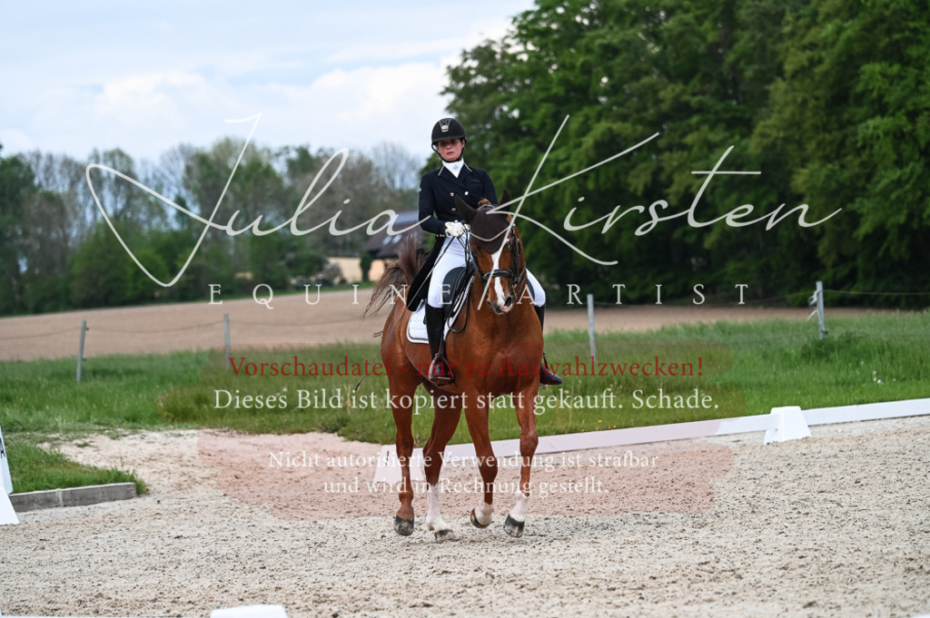 20230513_JK-Röhrsdorf-13-666 | Pferde- und Turnierfotografie in Westsachsen. Pferdeportraits, Auftragszeichnungen und intuitive Kunst.