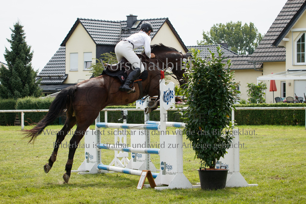 IMG_3298 | P. Berger Fotografie - Realisiert mit Pictrs.com