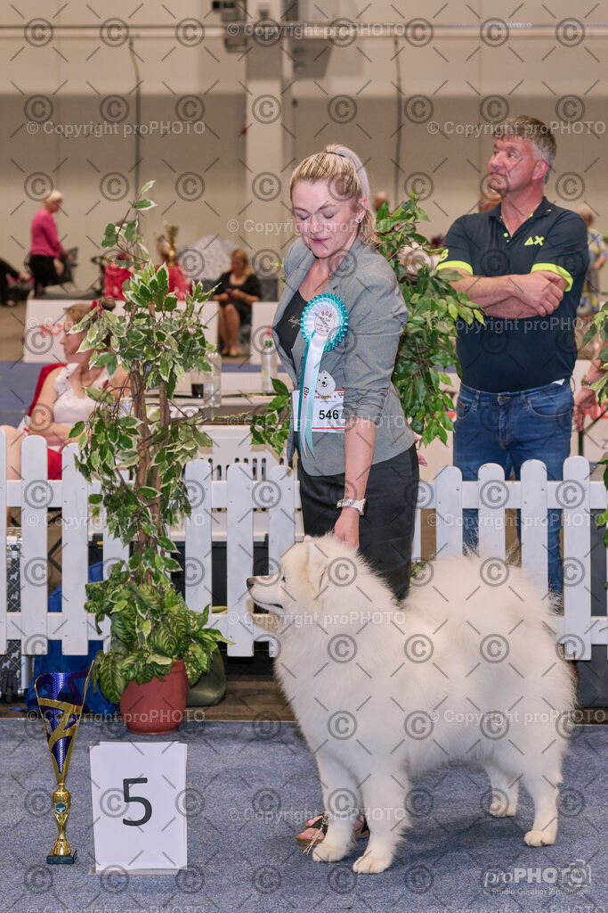 202406_ÖKV-IHA-Tulln24_NZ9_7847 | proPHOTO - Realisiert mit Pictrs.com