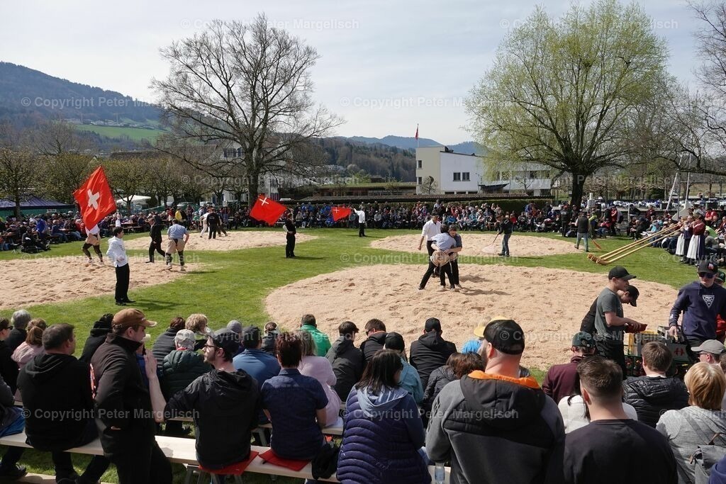 k-DSC03048 | Schwingen - Realisiert mit Pictrs.com