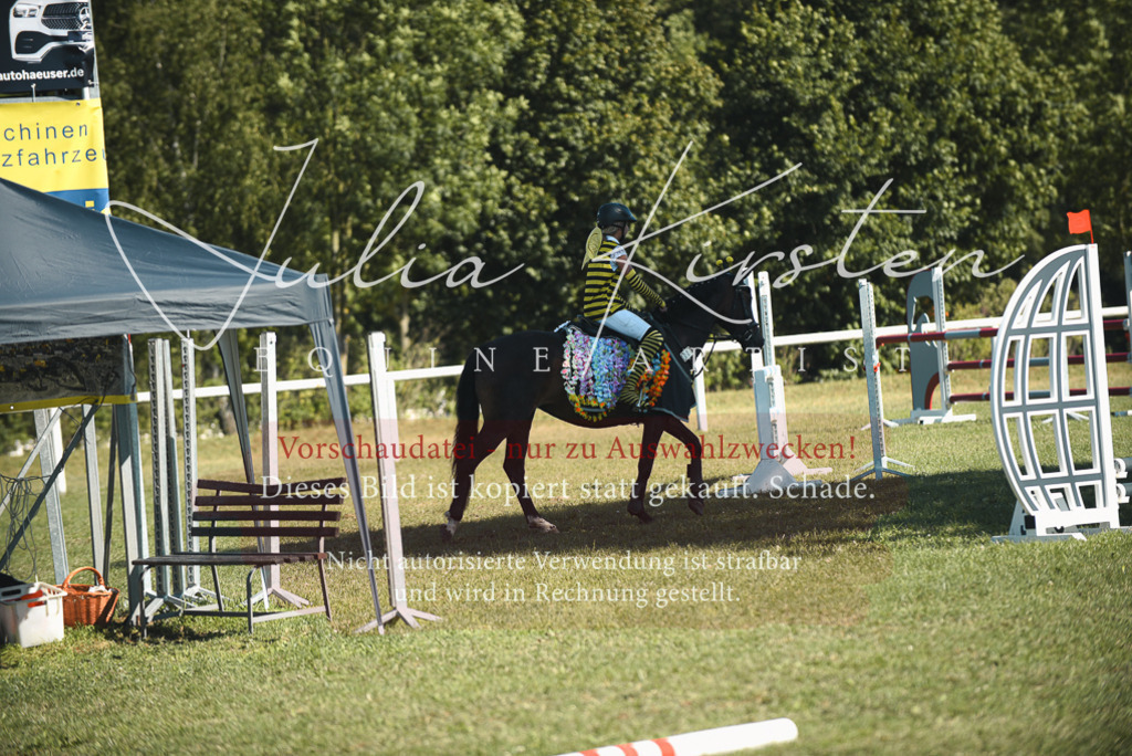DSC_7667 | Pferde- und Turnierfotografie in Westsachsen. Pferdeportraits, Auftragszeichnungen und intuitive Kunst.