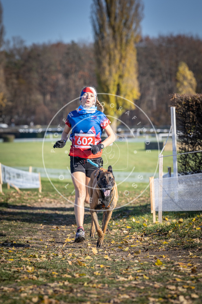 CaniXpix_DV3A9524 | Hundefotografie, Tierfotograf, Pfotenfotografie, Fotoshooting Hund, Hunde Portrait, Hundesport, Hundeportraits, Heideshooting, Hunde, Sportfotograf, Hundefotograf, Turnierhundsport, THS,  - Realisiert mit Pictrs.com