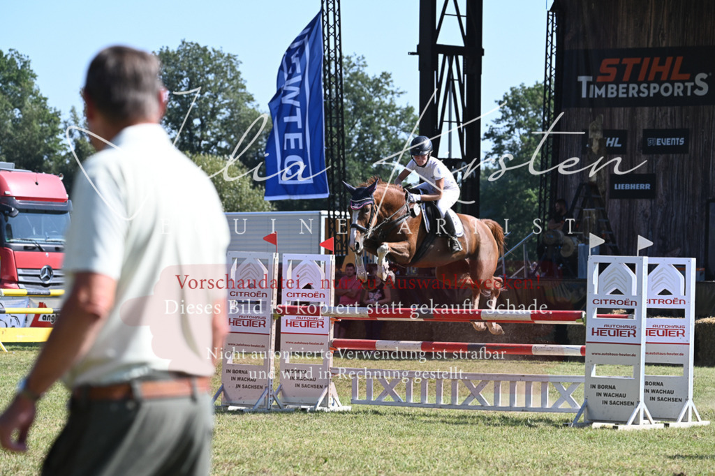DSC_6409 | Pferde- und Turnierfotografie in Westsachsen. Pferdeportraits, Auftragszeichnungen und intuitive Kunst.