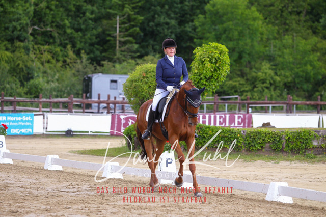 DKP46107 | Turniersportfotografie; Pferdefotografie; Dressurfotografie