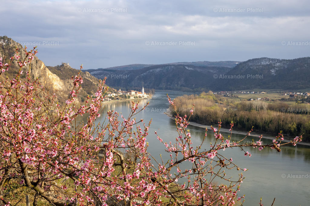 duernstein_c_alexander_pfeffel-2807 | alexander-pfeffel - Realisiert mit Pictrs.com