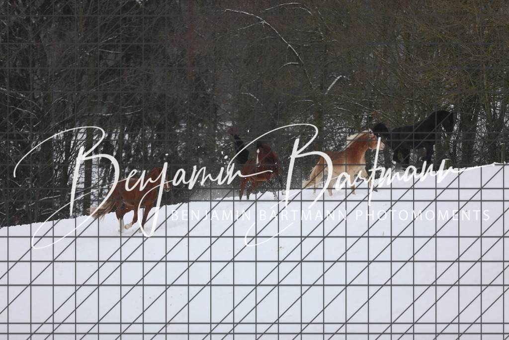 AZ2A3344 | Benjamin Bartmann Photomoments