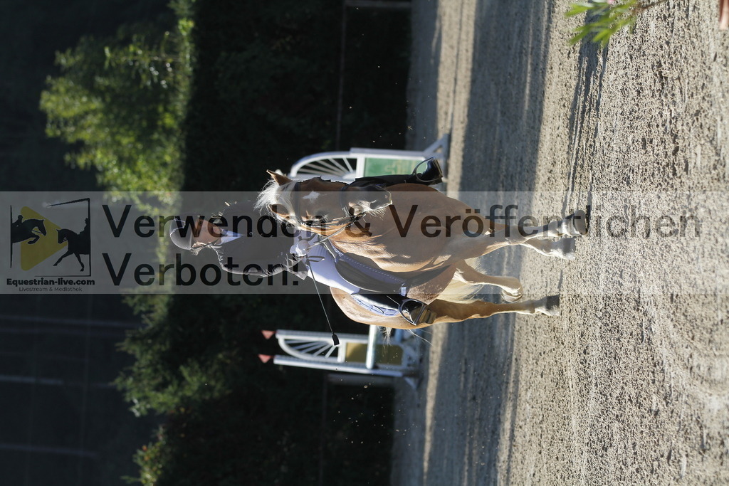 _MG_3830 | equestrian-live-com