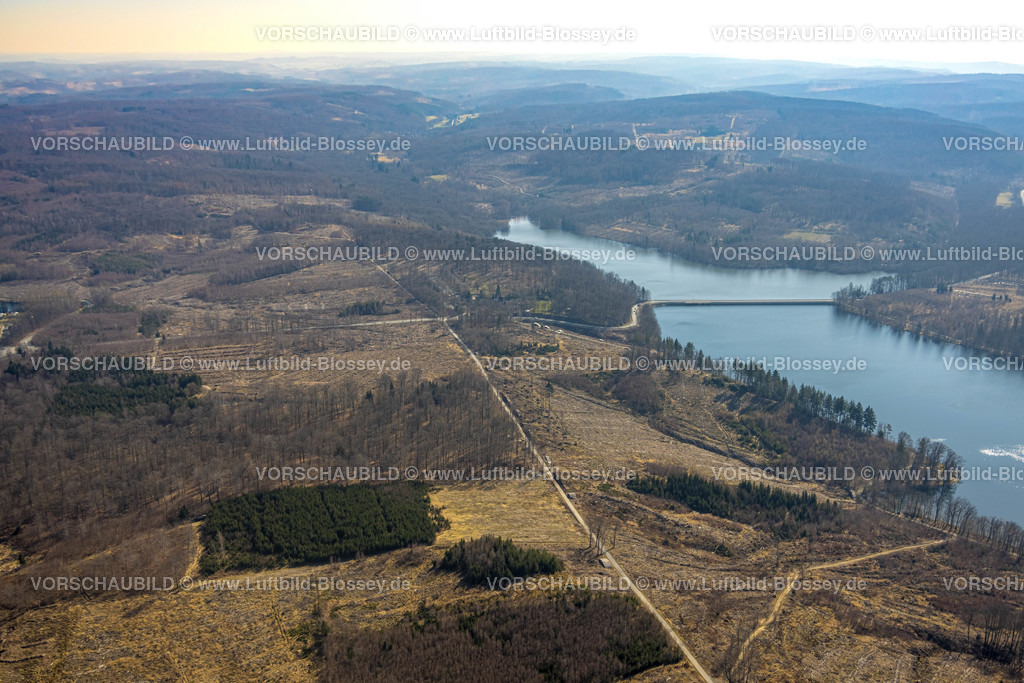 Moehnesee220301591 | Luftbild, Friedwald, Waldfriedhof, Halbinsel im Möhnesee, Waldsterben, Rodungen,   Delecke, Möhnesee, Sauerland, Nordrhein-Westfalen, Deutschland