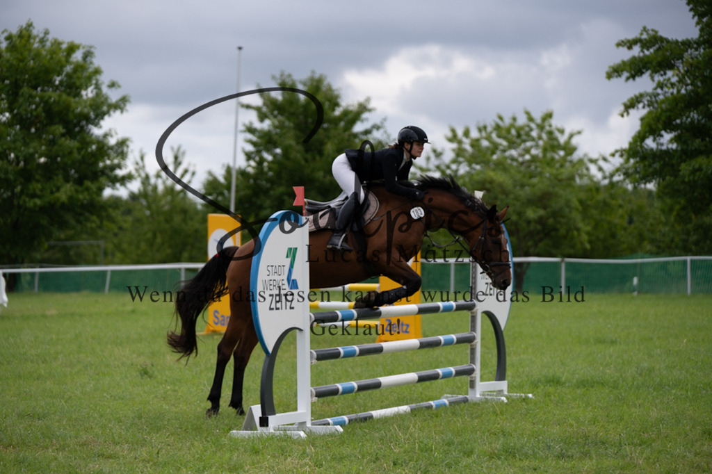 A7V03971 | Pferdefotograf