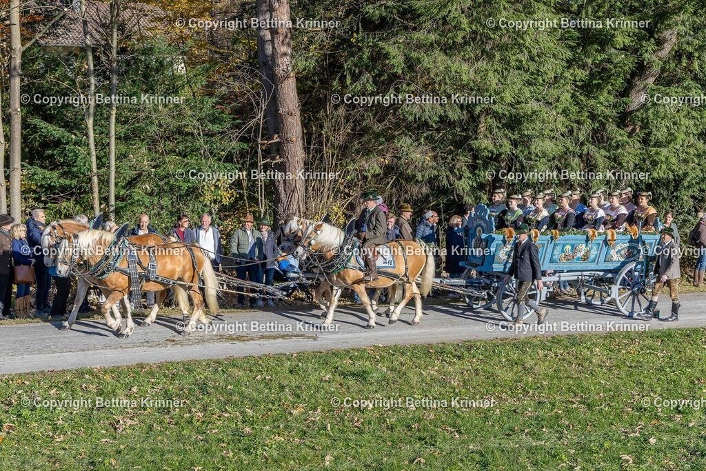 LBT25-382 | foto-bettina-krinner - Realisiert mit Pictrs.com
