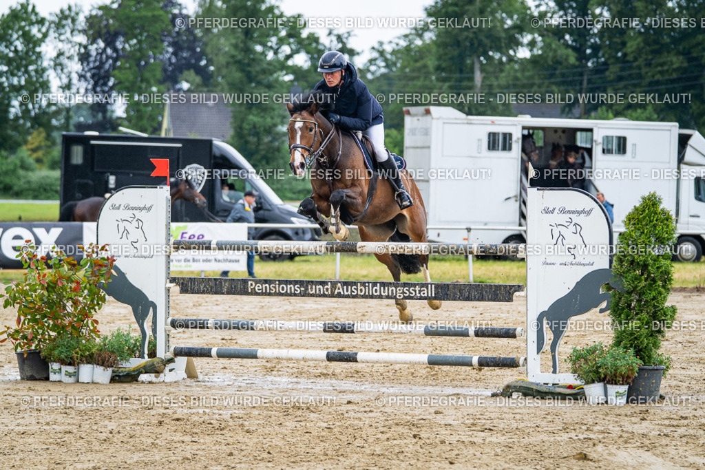 DSC03822 | Pferdegrafie