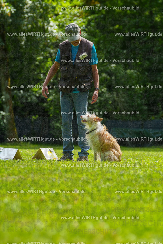 @allesWIRTHgut_Tierfotografie - www.allesWIRTHgut.de - 7R505531 | Professionelle Tierfotografie in Mönchengladbach von Daniel Wirth (allesWIRTHgut). Liebevolle & natürliche Bilder von Hunden & Katzen für unvergessliche Erinnerungen.