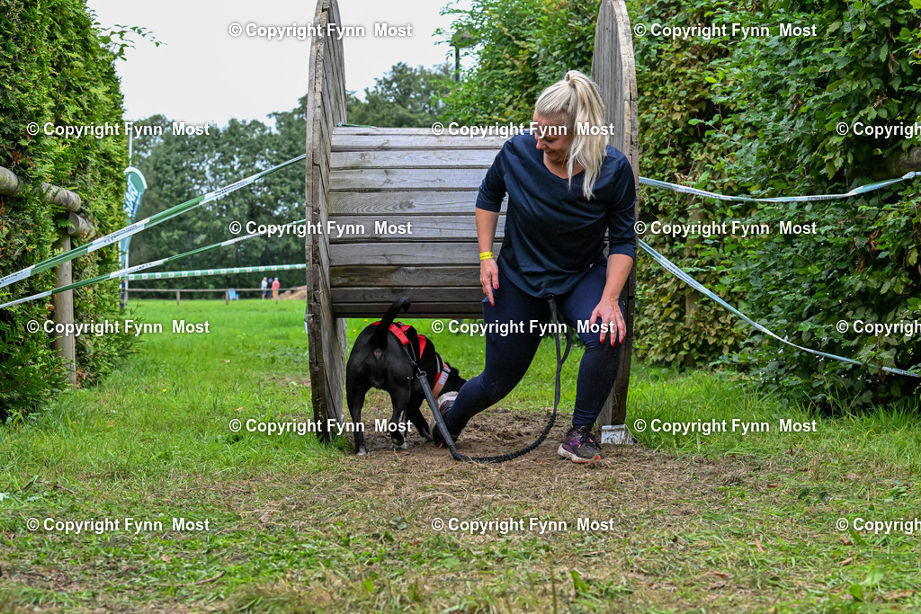 DSC_2687 | Hallo und herzlich Willkommen auf meiner Shop-Seite Fynn Most.

Ich wünsche Dir viel Spaß beim stöbern durch die Bilder, wenn Du Fragen hast oder Bilder vermisst, kannst du mir gerne eine Nachricht schreiben. - Realisiert mit Pictrs.com