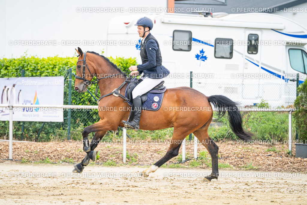 DSC09691 | Pferdegrafie