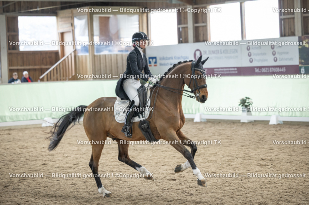 _D5A6219 | Emotionale Pferde- & People-Fotografie rund um Heidelberg, Leimen & Umgebung. Natürliche Fotos von Pferd, Mensch & Familie. Jetzt Termin sichern!