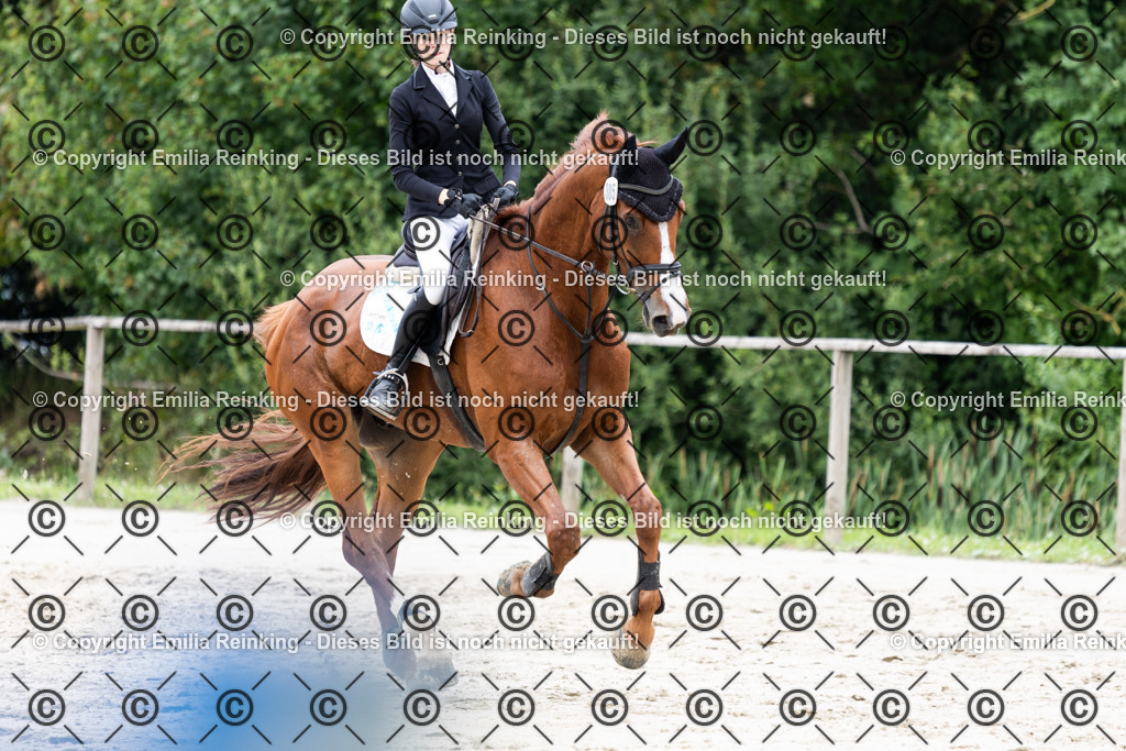 CL5A0871 | Emilia Reinking Fotografie - Realisiert mit Pictrs.com