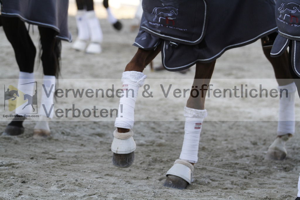 _MG_3229 | equestrian-live-com