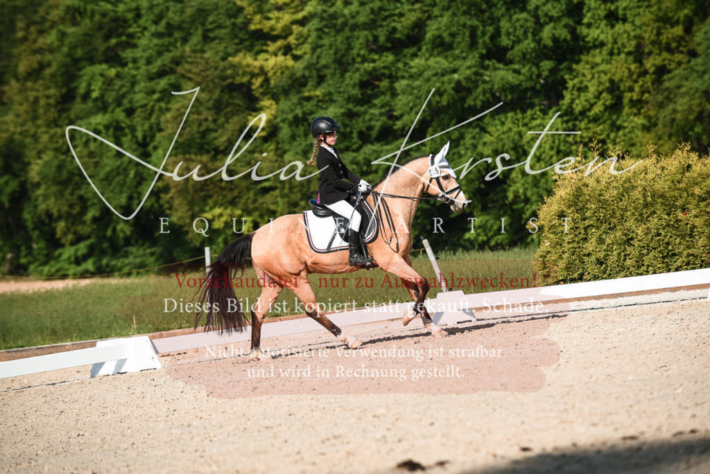 20230518_JK-Röhrsdorf-12-0933 | Pferde- und Turnierfotografie in Westsachsen. Pferdeportraits, Auftragszeichnungen und intuitive Kunst.