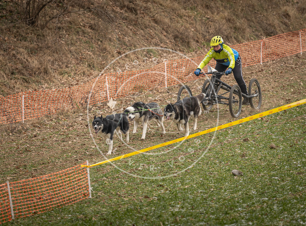 Pfotenfotografie_DV3A8521 | Hundefotografie, Tierfotograf, Pfotenfotografie, Fotoshooting Hund, Hunde Portrait, Hundesport, Hundeportraits, Heideshooting, Hunde, Sportfotograf, Hundefotograf, Turnierhundsport, THS,  - Realisiert mit Pictrs.com
