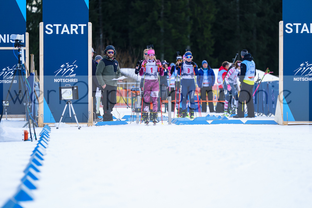 FESA Alpencup / DP Notschrei | Deutschland Pokal Finale im Schwarzwald NORDIC-CENTER Notschrei am 7. - 8. Februar 2026