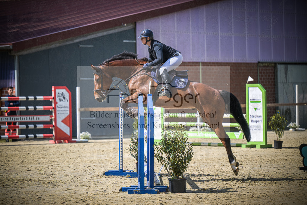 DOS_7437 | Entdecke hochwertige Reitturnierfotos von Foto Oger. Professionell, emotional und authentisch – jetzt Lieblingsmomente im Shop bestellen.Deutschlandweite Turnierfotografie. - Realisiert mit Pictrs.com