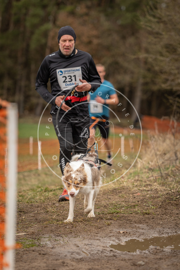 DV3A3085 | Hundefotografie, Tierfotograf, Pfotenfotografie, Fotoshooting Hund, Hunde Portrait, Hundesport, Hundeportraits, Heideshooting, Hunde, Sportfotograf, Hundefotograf, Turnierhundsport, THS,  - Realisiert mit Pictrs.com