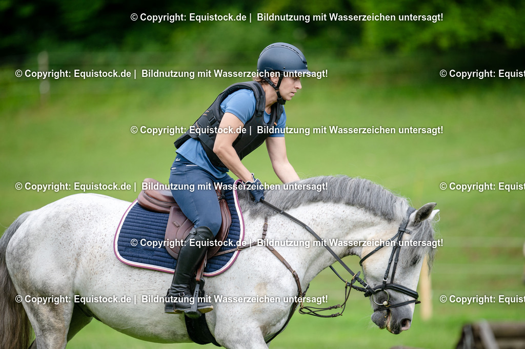 20250725_Vielseitigkeitslehrgang-Marbach_0563 | Foto: Thomas Hartig