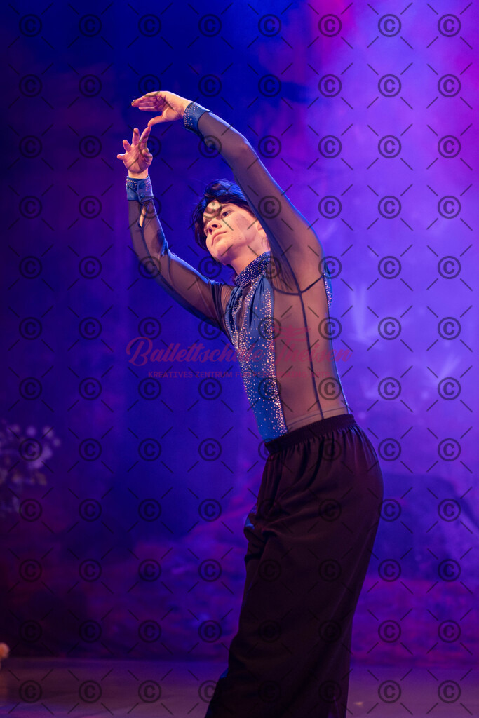 Ballettaufführung-1634 | Bildershop Lem'n Entertainment - Realisiert mit Pictrs.com