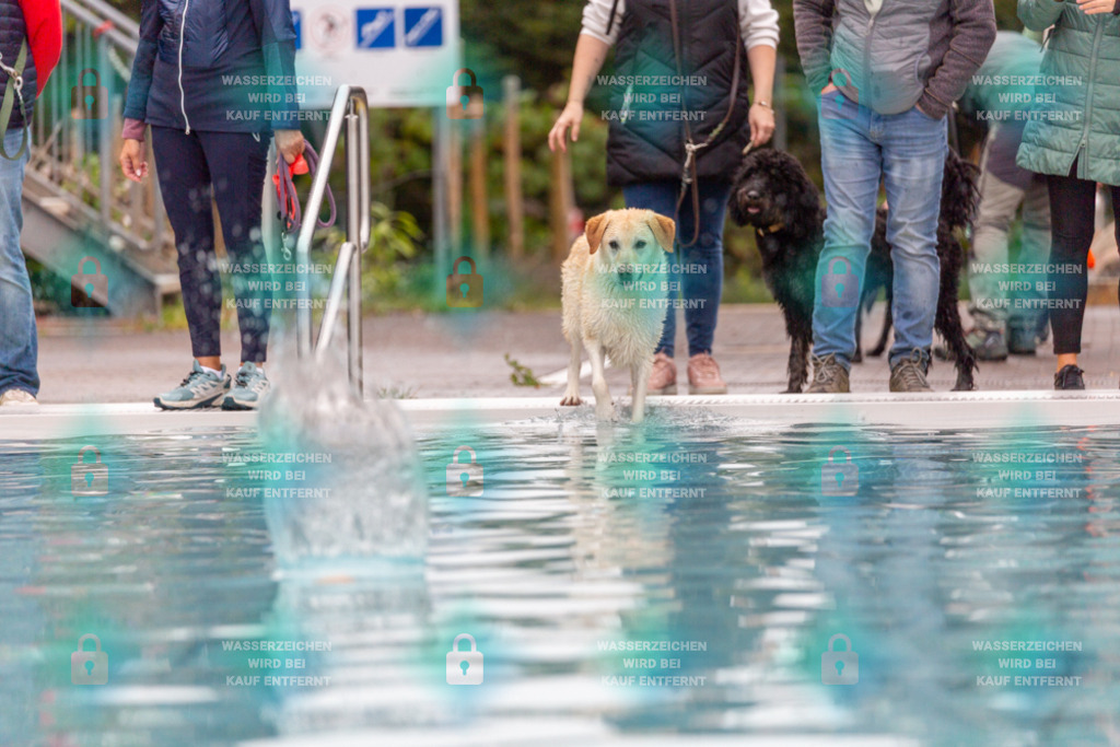 _HP_7161_1000o | HetPix, HetPix Fotodesign, Fotografie, Fotodesign, Webshop, Sportfotografie, Portraitfotografie, Onlineshop, Sportfotografie, Polch, Motorsportfotografie, Eventfotografie