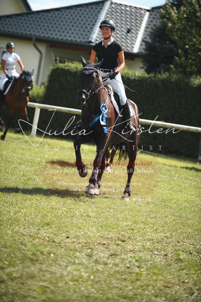 DSC_6845 | Pferde- und Turnierfotografie in Westsachsen. Pferdeportraits, Auftragszeichnungen und intuitive Kunst.