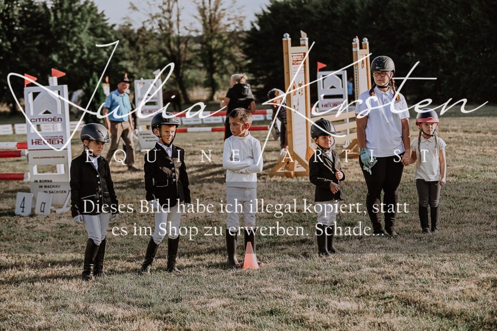 DSC_0233 | Pferde- und Turnierfotografie in Westsachsen. Pferdeportraits, Auftragszeichnungen und intuitive Kunst.