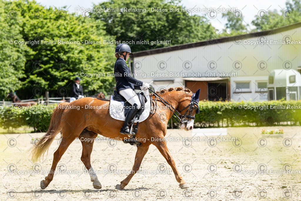 CL5A8931 | Emilia Reinking Fotografie - Realisiert mit Pictrs.com