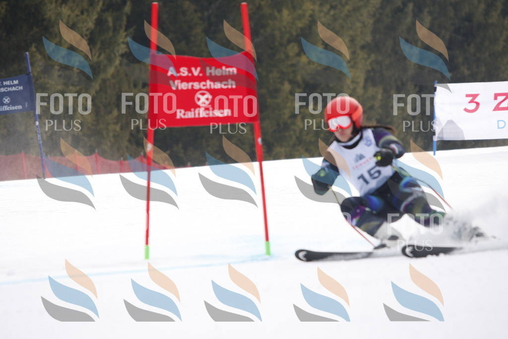 D4800 | holidayphoto