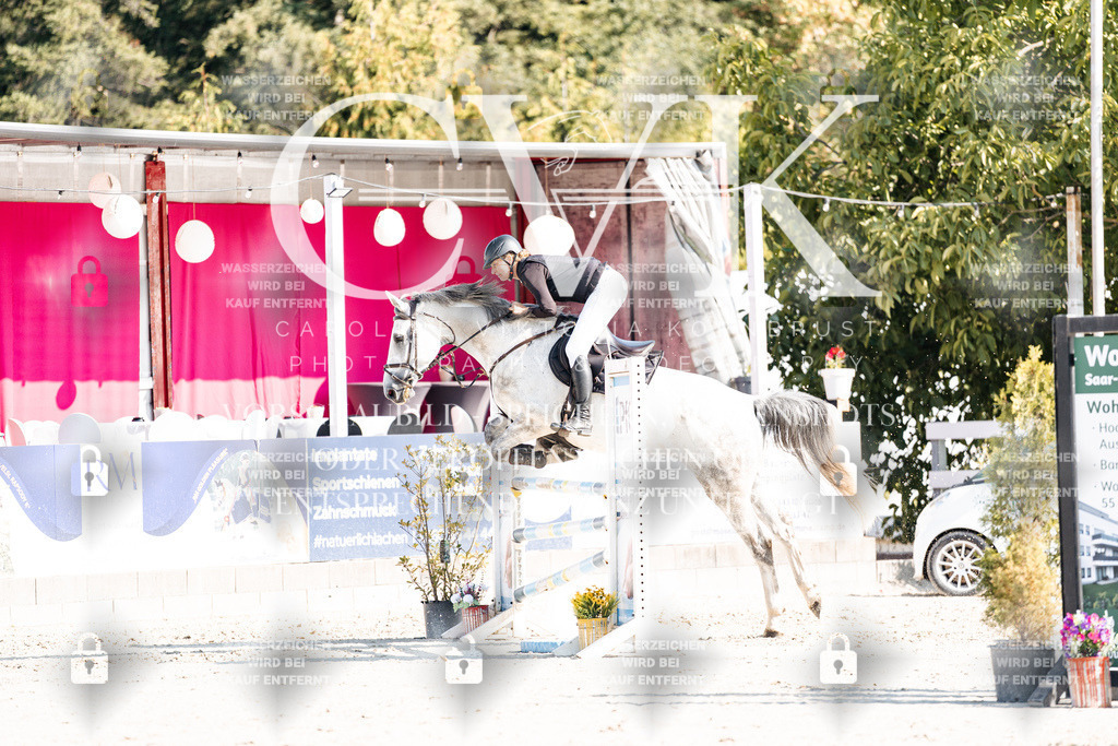 CK902066 | Turnierfotografie Pferdefotografie Trier Rheinland-Pfalz Pferdesport Reitsport Tierfotografie Sportfotografie Pferdevideo Pferdevideografie Equestrianvideography equestrianphotography  - Realisiert mit Pictrs.com