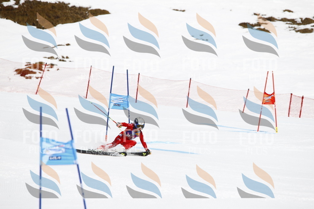 _U3G4674 | holidayphoto