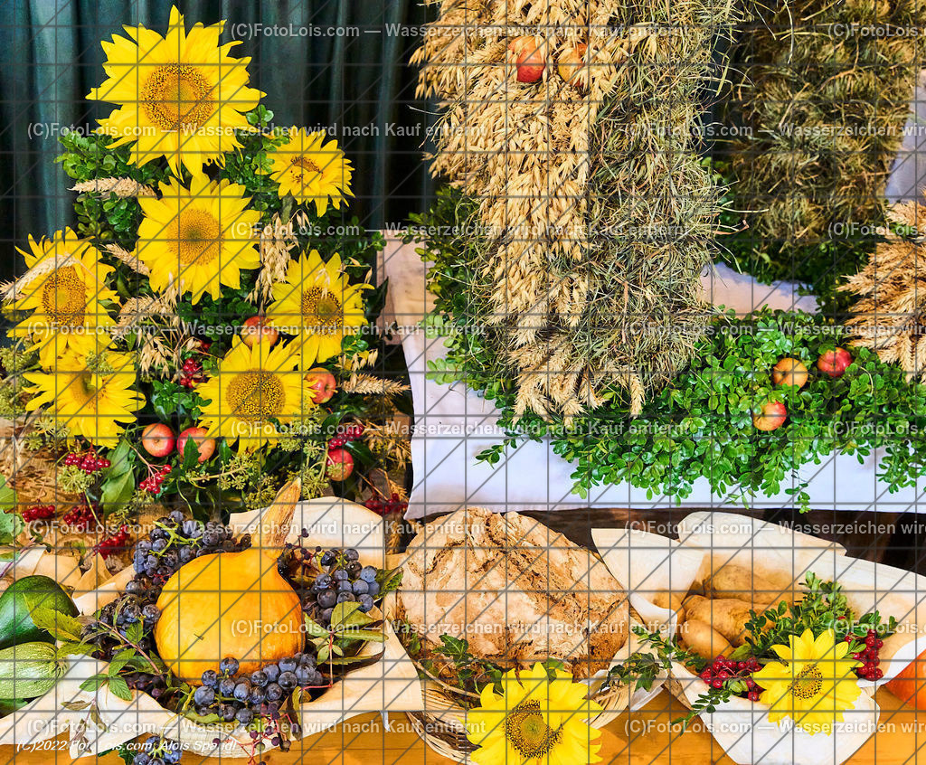 ALP0885_Erntedankfest_Lackenhof-Langau_Erntekrone | (C)FotoLois.com, Alois Spandl, ERNTEDANKFEST Lackenhof/Langau im rothschild´schen Glassalon in Langau/Maierhöfen, So 2. Okt. 2022.