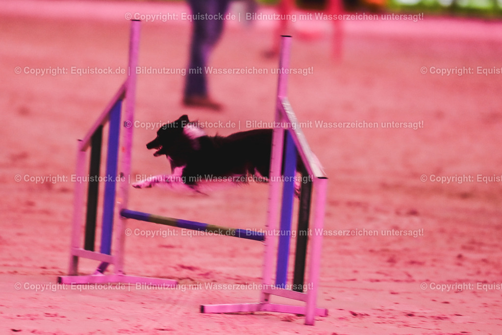 20241113_Showabend_TOMsPiC_0376 | Foto: Thomas Hartig