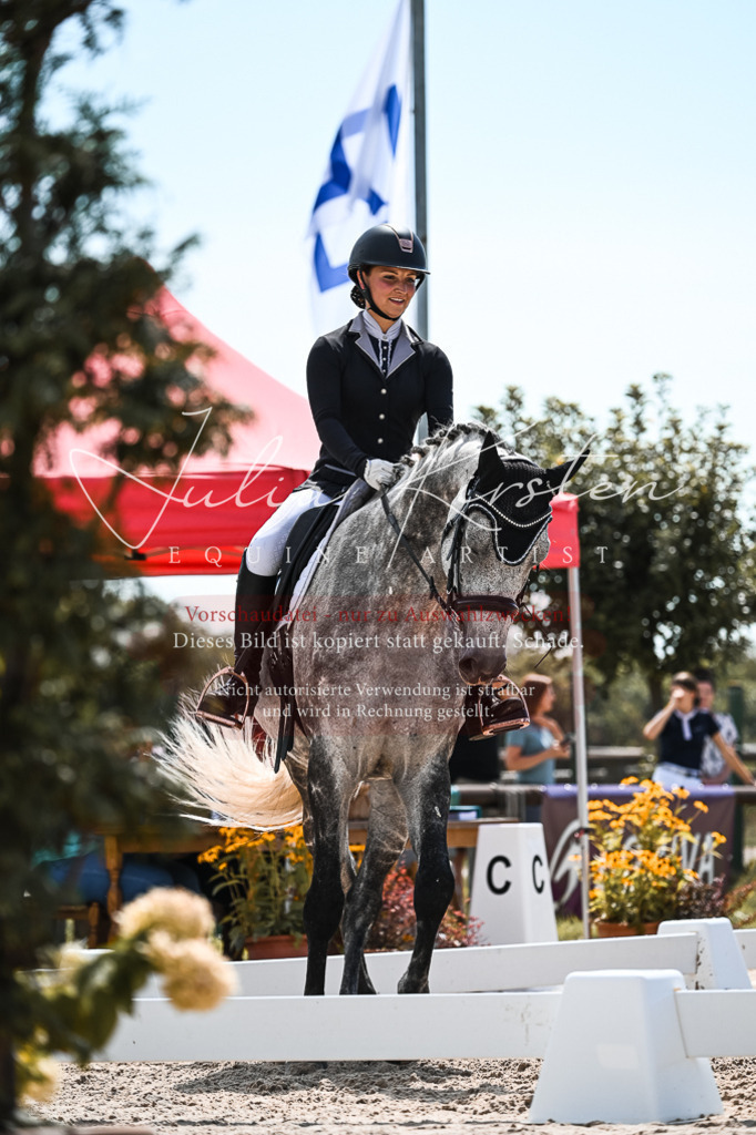 DSC_5586 | Pferde- und Turnierfotografie in Westsachsen. Pferdeportraits, Auftragszeichnungen und intuitive Kunst.