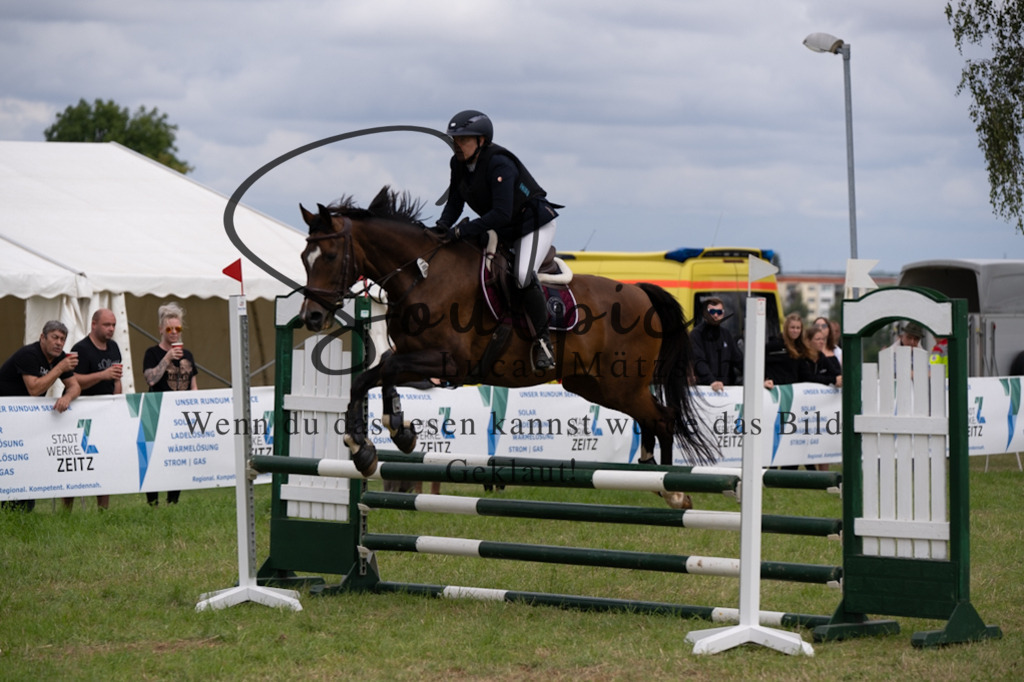 A7V05523 | Pferdefotograf