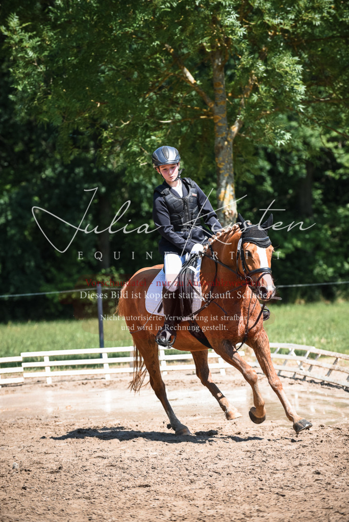 DSC_3271 | Pferde- und Turnierfotografie in Westsachsen. Pferdeportraits, Auftragszeichnungen und intuitive Kunst.